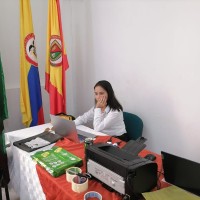 Karen Natalia Ibañez Villalba