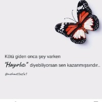 Orhan Aksu