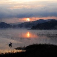 안영선