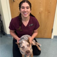 Jessica Michaud, Bs, Lvt