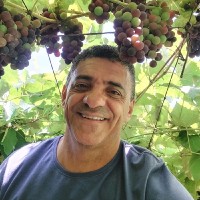 Marco Prado