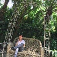 王敦豪
