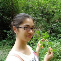 何炜玲