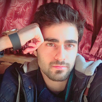 Alireza Karimi