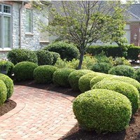 green gardens