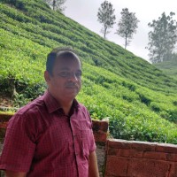 Asharaf T A