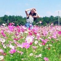张晖敏
