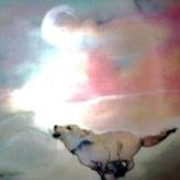 FALINA BARCENA CAAMAÑO