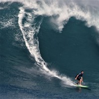 Surfton Surfton