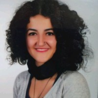 Evin Demi̇rkaya Babat