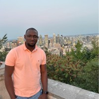 Lamine Diané