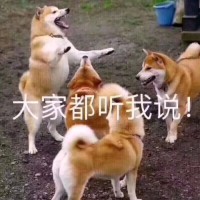 陈志君