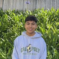 Daniel Altamirano