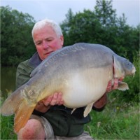 roy alderson