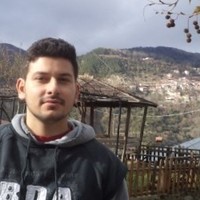 Dimitrios Nikolakis