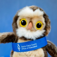Ollie The Owl
