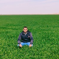Essam Youssef