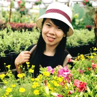 Dung Ho Ngoc Thuy