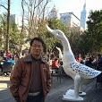 Robert Wu