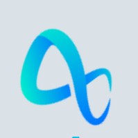 Silicon Meta Systems