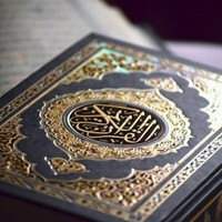 الشيخ ابو فهد