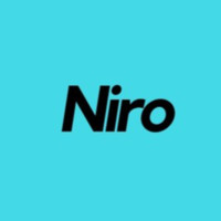 Recruitment Executive - Niro RS