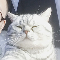 沙皖宁