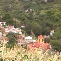 Santa Ortega