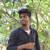 Ajay Raj