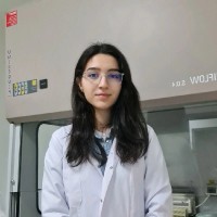 Sudenaz Erkal