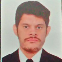 Flavio Henrique Soeiro De Castro