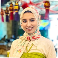 Alaa Elmoniry
