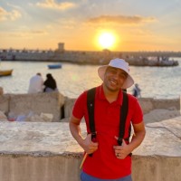 Mohamed Elhawat