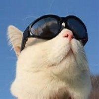 朱献平