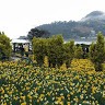 Wori Park