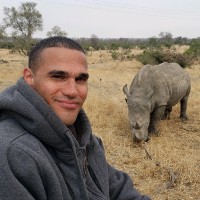 Nelson De Jesus