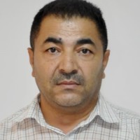 Lotfi Hamdi