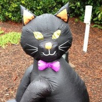 Tom Kat