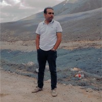 Hamid Saeed