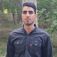 Ali Mohammadinia