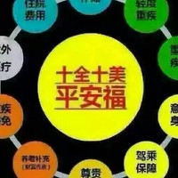文保松