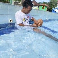 Dharma Sardjito