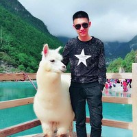 李沐阳