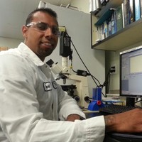 Rafael Soler Jr