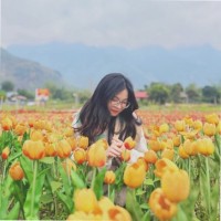Thu Hiền Nguyễn