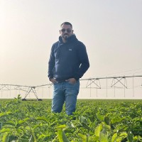Mohamed Atif