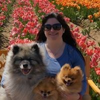 Stacy Dickinson, CPDT-KA