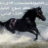 Zoubaida Elghazzawi