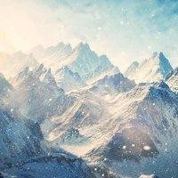 杨东伟