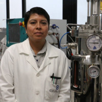 Iliana del Carmen Barrera Martínez